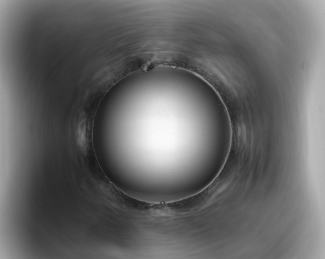 X0000096671250200802121144
