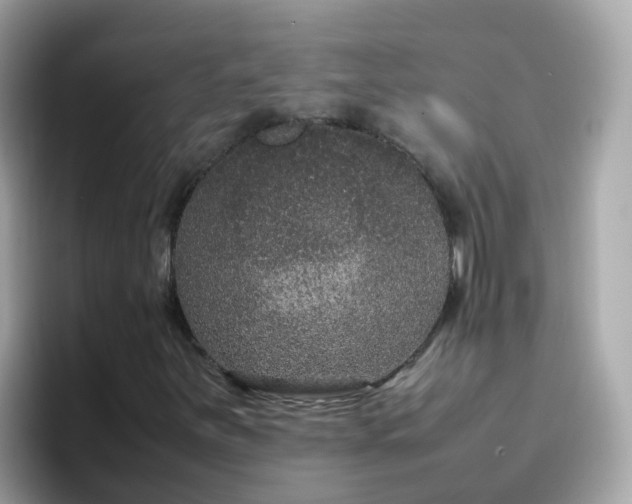 X0000096671251200802121144