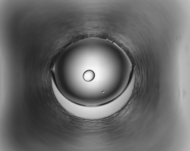 X0000096671252200802121144