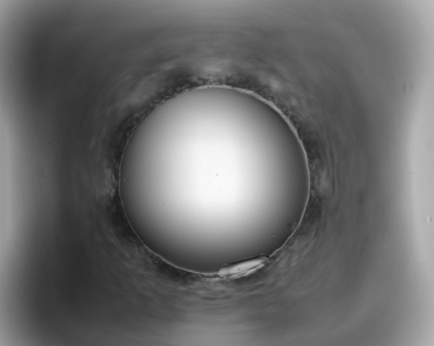 X0000096671253200802121144