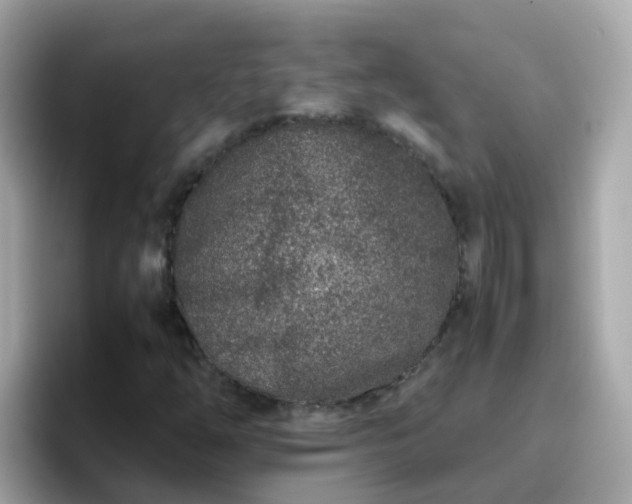 X0000096671254200802121144