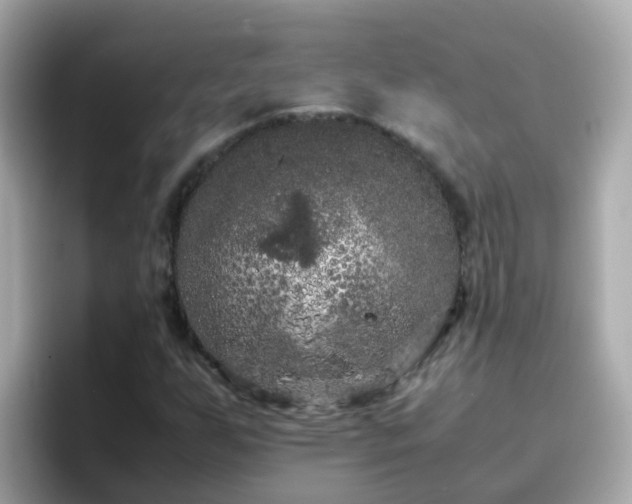 X0000096671255200802121144