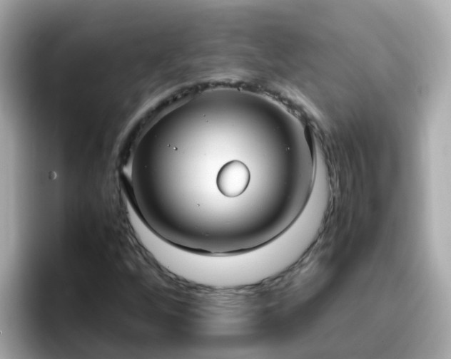 X0000096671256200802121144