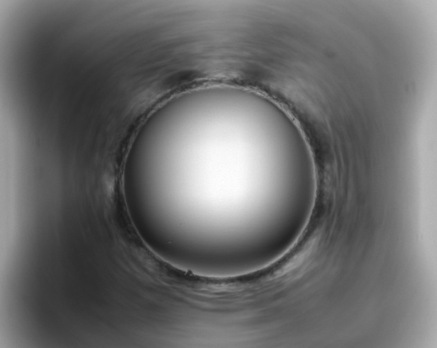 X0000096671257200802121144