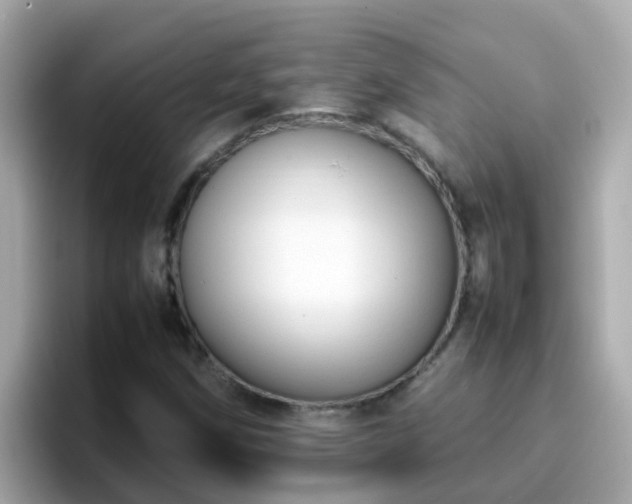 X0000096671258200802121144