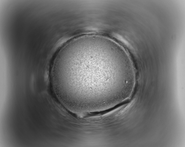 X0000096671259200802121144