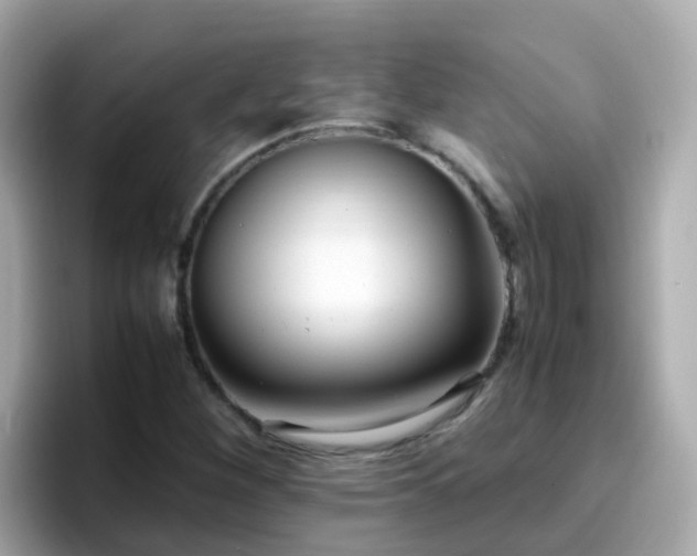 X0000096671260200802121144