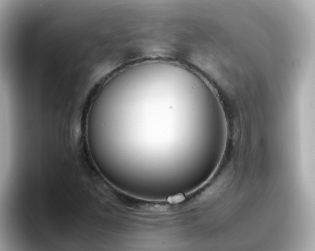 X0000096671261200802121144