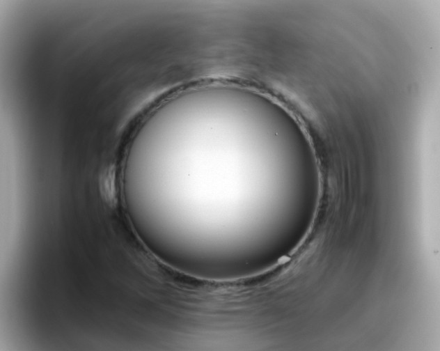 X0000096671262200802121144