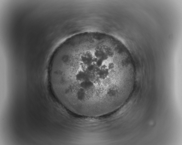 X0000096671263200802121144
