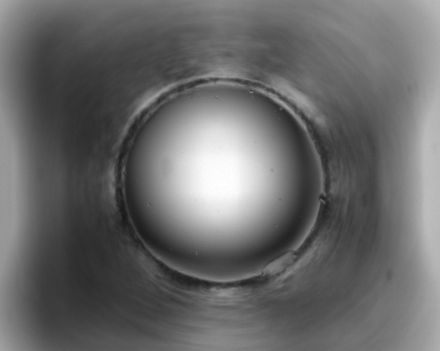 X0000096671264200802121144