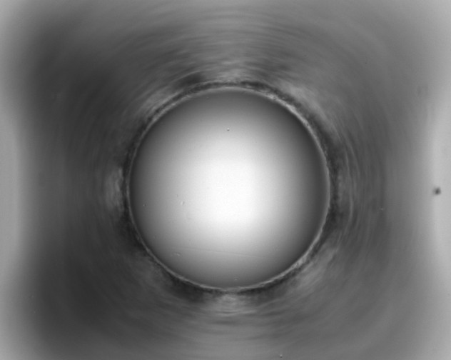 X0000096671265200802121144