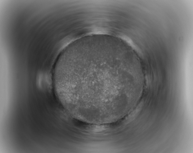 X0000096671266200802121144