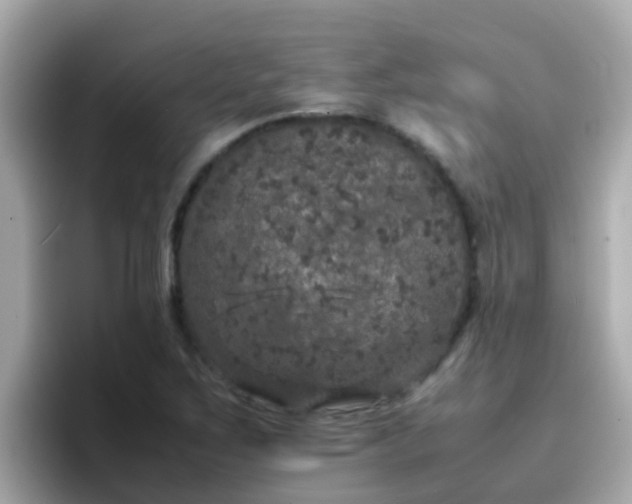 X0000096671267200802121144