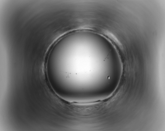 X0000096671268200802121144
