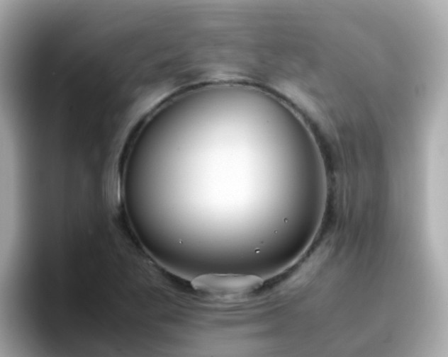 X0000096671269200802121144
