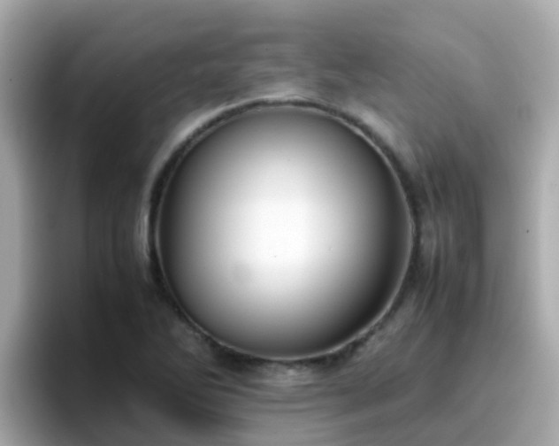 X0000096671270200802121144