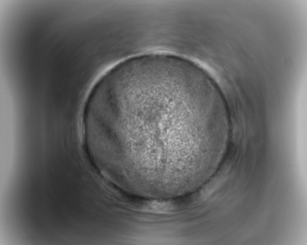 X0000096671271200802121144