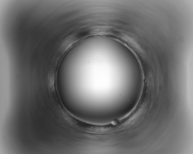 X0000096671273200802121143