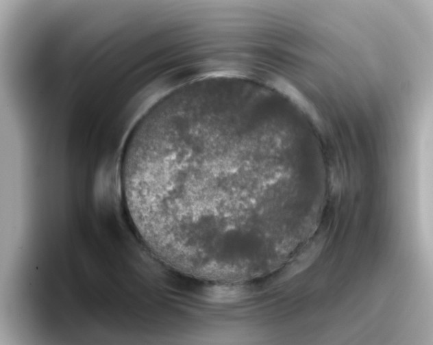 X0000096671274200802121143