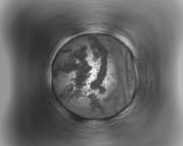X0000096671275200802121143