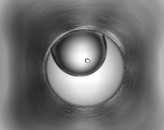 X0000096671276200802121143