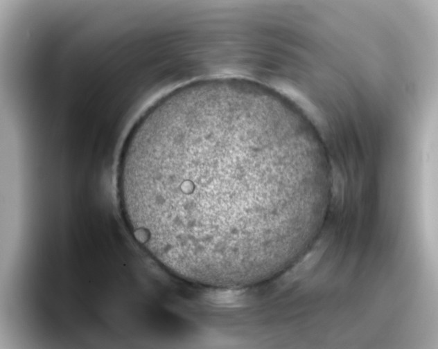 X0000096671278200802121143