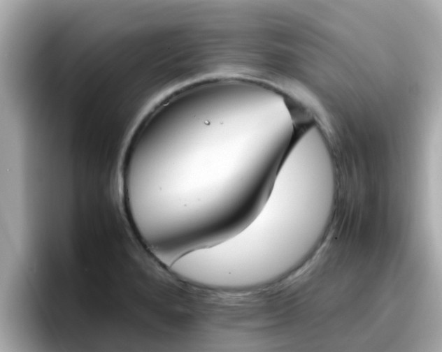 X0000096671280200802121143