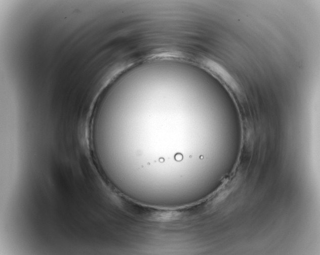 X0000096671282200802121143