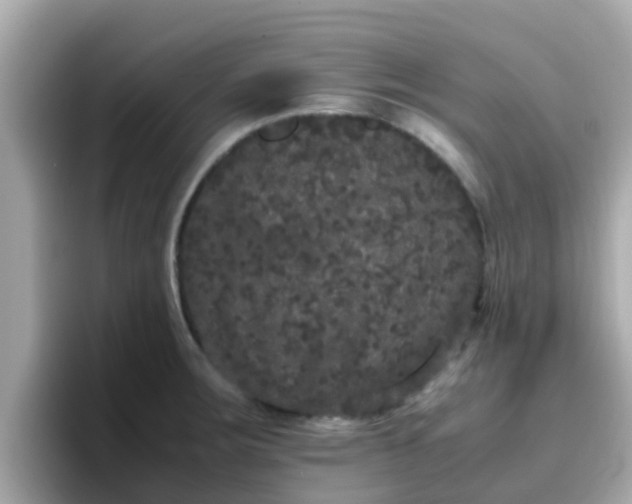 X0000096671283200802121143