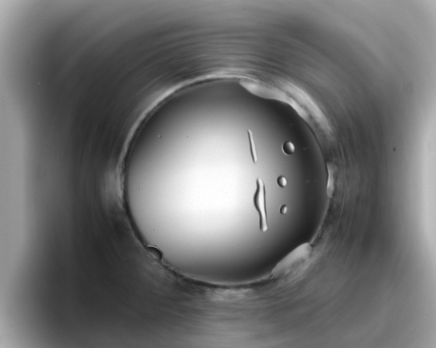 X0000096671284200802121143