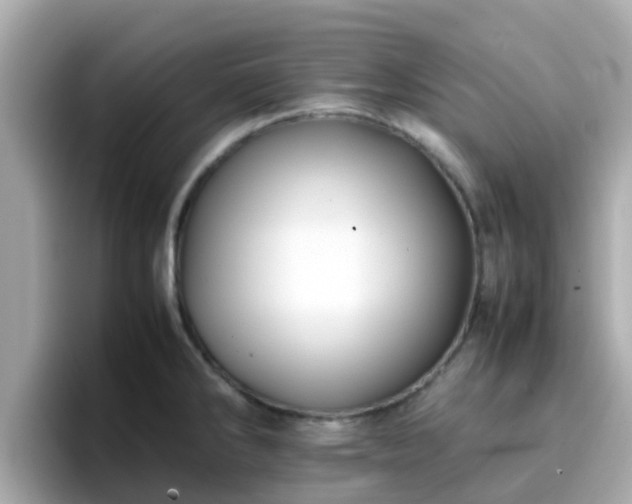 X0000096671286200802121143