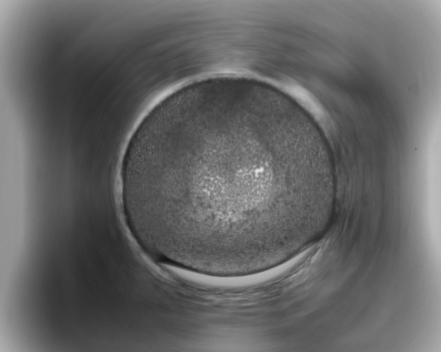 X0000096671287200802121143
