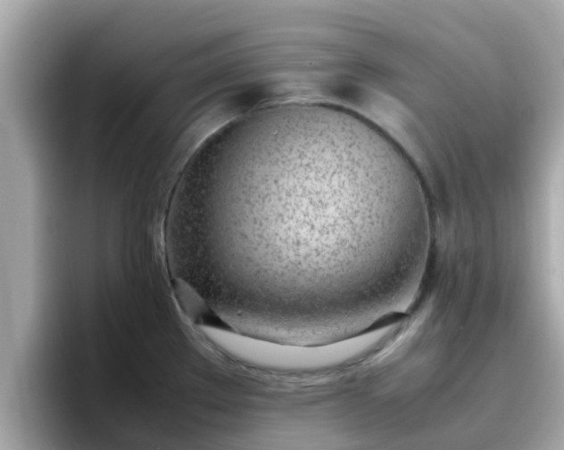 X0000096671289200802121143