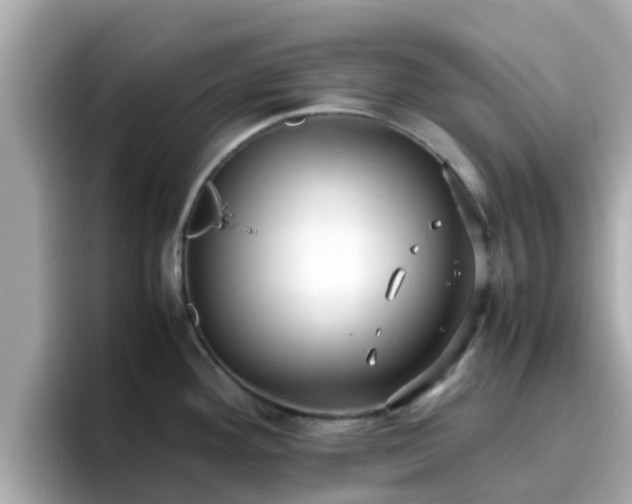 X0000096671292200802121143