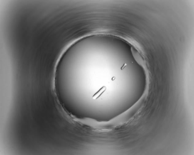 X0000096671296200802121143
