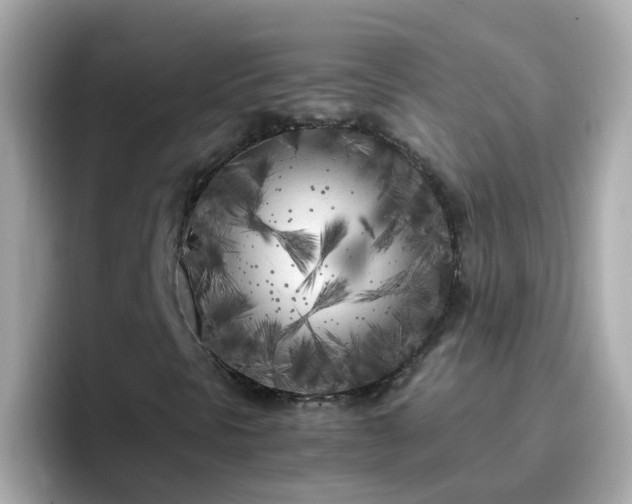 X0000096671297200802121143