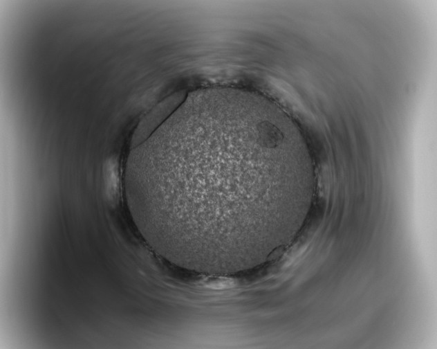 X0000096671298200802121143