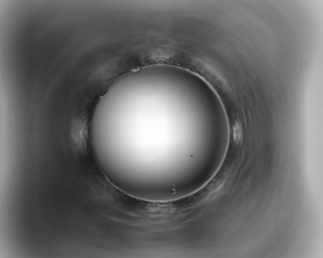 X0000096671299200802121143