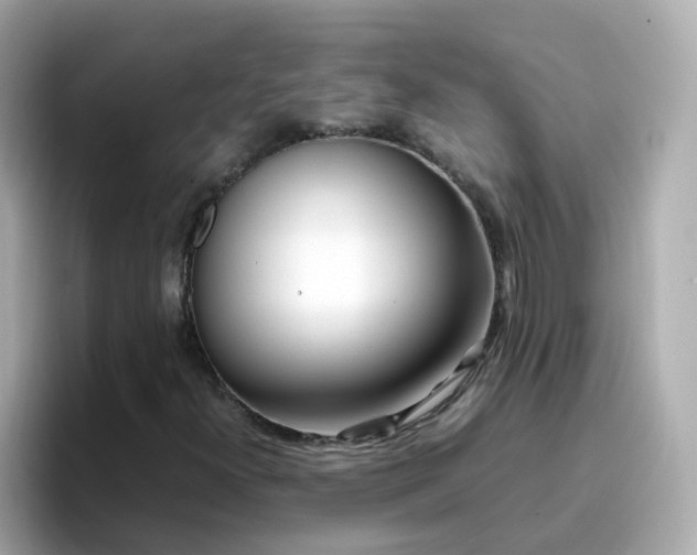 X0000096671300200802121143