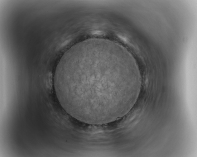 X0000096671301200802121143