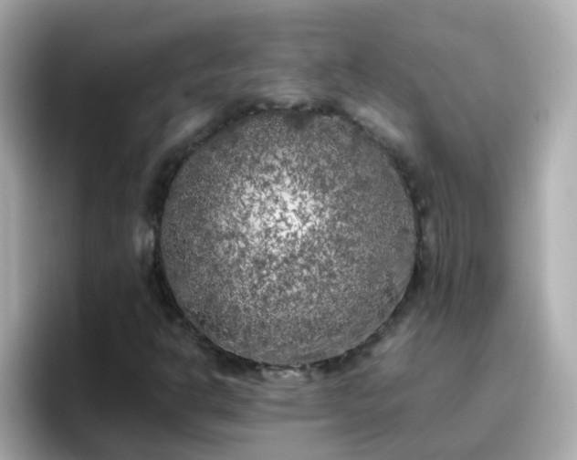 X0000096671302200802121143