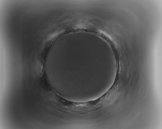 X0000096671303200802121143