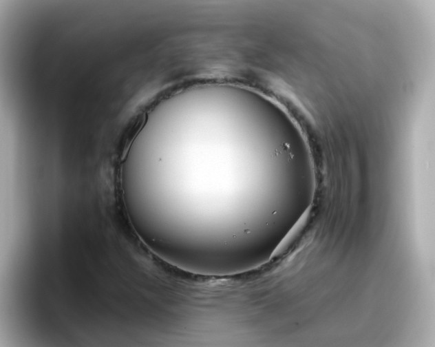 X0000096671304200802121143
