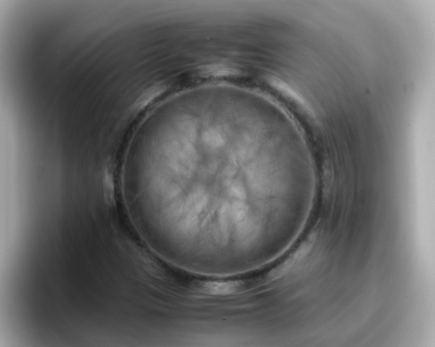 X0000096671305200802121143