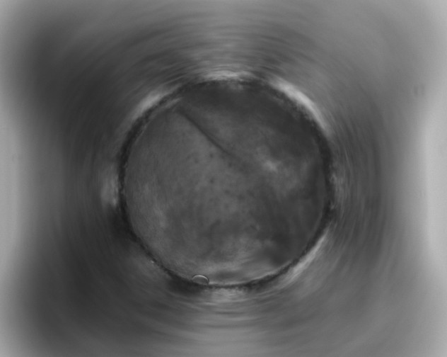 X0000096671306200802121143