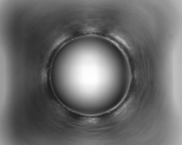 X0000096671309200802121143