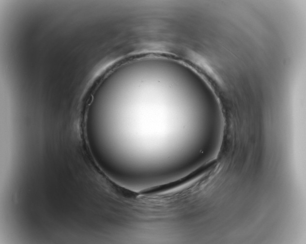 X0000096671312200802121143