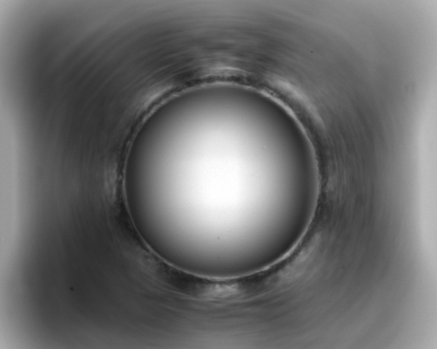 X0000096671313200802121143