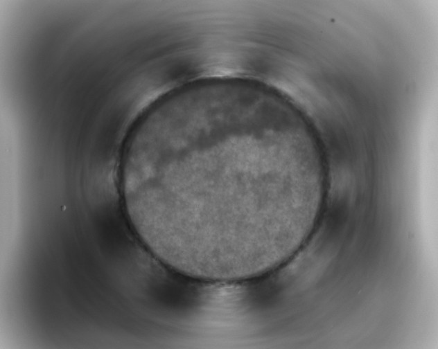 X0000096671314200802121143